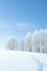 Winter chill captured in a serene landscape, with frost-coated trees and a blanket of snow covering the ground.
