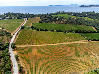 Aerial view on hills, houses and green vineyards Cotes de Provence, production of rose wine near Saint-Tropez and Pampelonne beach, Var, France in summer