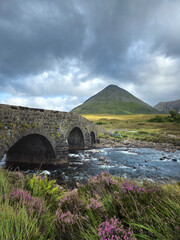 Sligachan Old Bridge over River Sligachan on Isle of Skye, Scotland with blooming purple heather in...