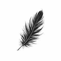 Obraz premium bird feathers very simple and single feathers silhouette white background
