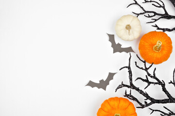 Halloween side border of spooky bats, black branches and pumpkins. Overhead view on a white...
