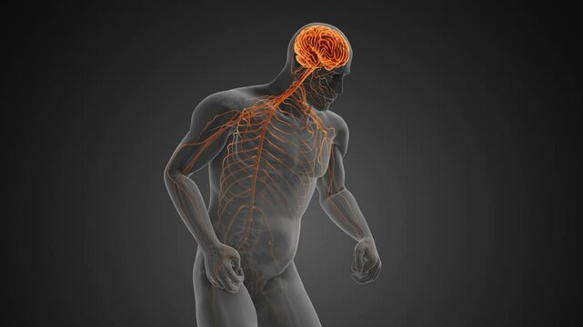 Neurodegenerative Disorder with Motor Dysfunction or Parkinson's disease