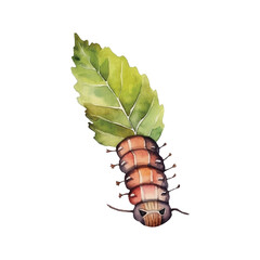 watercolor caterpillar eating leaf vector illustration, white background