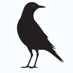 Bird Silhouette icon