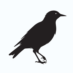 Bird Silhouette icon