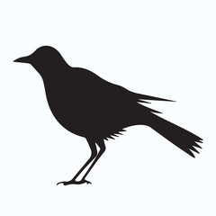 Bird Silhouette icon