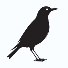 Bird Silhouette icon