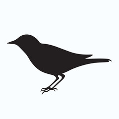 Bird Silhouette icon