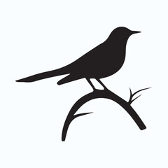 Bird Silhouette icon