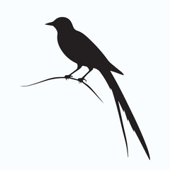 Bird Silhouette icon