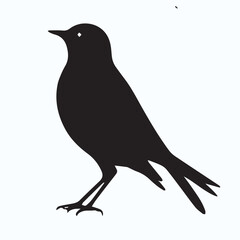 Bird Silhouette icon