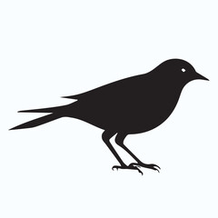 Bird Silhouette icon