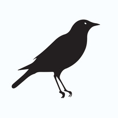 Bird Silhouette icon