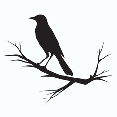 Bird Silhouette icon