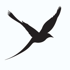 Bird Silhouette icon