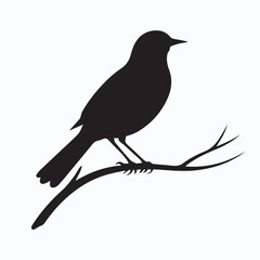 Bird Silhouette icon
