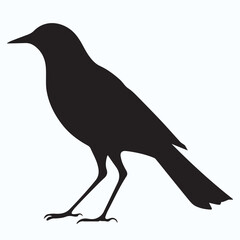 Bird Silhouette icon