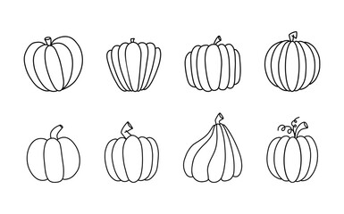 Vector collection of different pumpkins drawn in doodle style. Illustration of cute hand drawn pumpkins. Isolated on white background