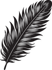 silhouette vector of feather