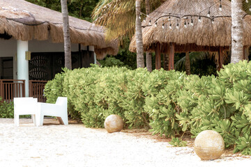 Houses huts wooden cottage in tropical jungle beach palm Mexico.