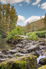Fototapete bei efototapeten.de bestellen   