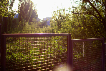 The soft glow of the setting sun bathes a garden fence in warm, golden light. The metal mesh contrasts with the lush greenery beyond, creating a peaceful, natural scene.