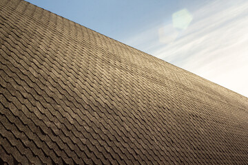 A rooftop stretches diagonally across the frame, its shingle texture forming a rhythmic pattern under a clear blue sky. The subtle sunlight adds warmth and depth to the scene.