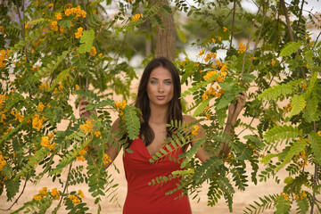 A beautiful young woman, with green eyes, in an elegant red dress, looking at the camera among the branches and green leaves of a tree. Concept looks, beauty, nature, femininity.