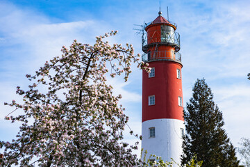 Baltiysk, Kaliningrad region, Russia, May 19 2022 Lighthouse in Baltiysk landscape of spring flowers