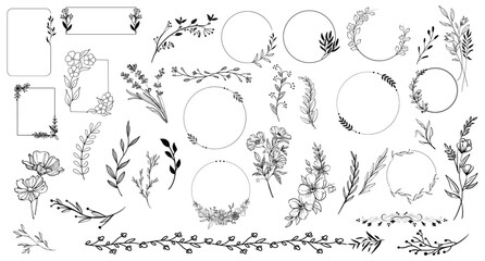 Flower Collection illustration Art Design 