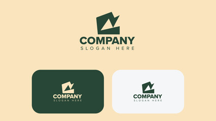 Premium Abstract Vector Logo Design