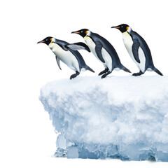 Obraz premium Three penguins are poised on the edge of an ice ledge, ready to leap into the frigid water below on a clear day in a pristine, polar setting. Transparent background PNG