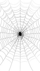 Obraz premium Black Spider Web on White Background, Abstract Image, Texture, Pattern, Wallpaper, Cover and Screen of Smartphone, Cell Phone, Computer, Laptop, 9:16 and 16:9 Format