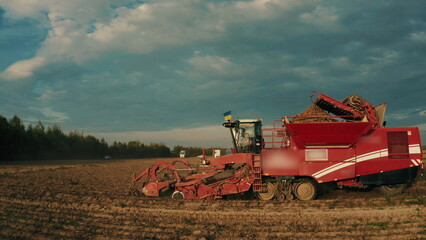 Agricultural work on harvesting seasonal crops, potatoes. A combine harvester drives through a...