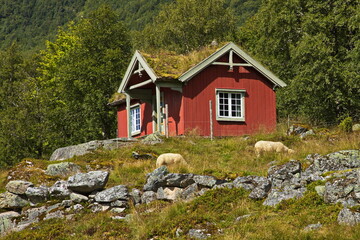 Old wooden cottage with green roof in Innerdalen valley, Norway, Europe
