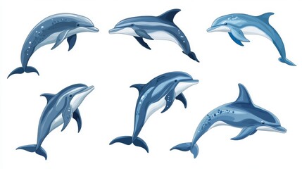 Obraz premium Vector Graphic of Dolphins