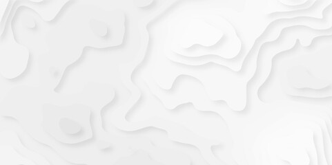 abstract Background with lines Modern white carve wave line abstract luxury 3d papercut background, Black and white wave papercut topology. 
