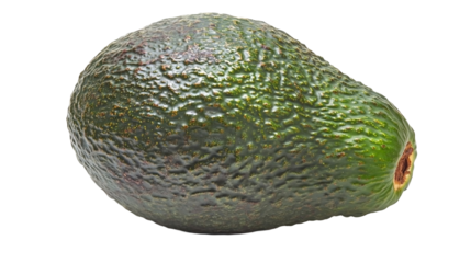 avocado on white background