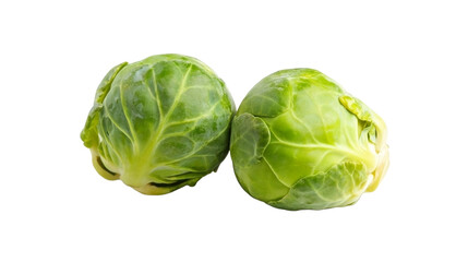 cabbage isolated on white background