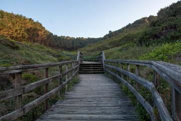 Fototapeta premium Wooden bridge or walkway that leads to the sea after a green forest. Freedom concept. Travel concept.