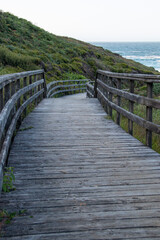 Obraz premium Wooden bridge or walkway that leads to the sea after a green forest. Freedom concept. Travel concept.