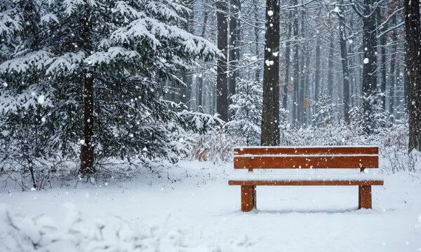 snowy winter scene with bare tree and wood bench