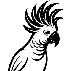 Fototapeta premium parrot on a white background