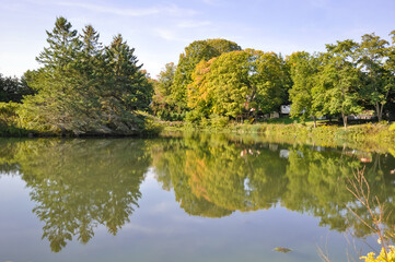 Trees reflections on the calm lake