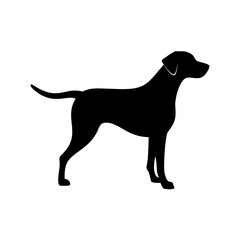 Dog Breed Silhouettes, Personalized Dog Silhouette, Dog Breed SVG,