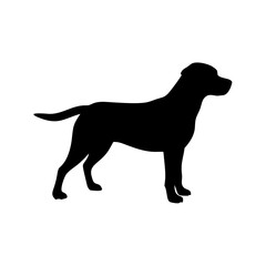 Dog Breed Silhouettes, Personalized Dog Silhouette, Dog Breed SVG,