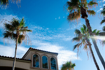 Fototapeta premium Lookup up tall palm tree and clay tile roofs of upscale two-story beach houses at residential neighborhood in South Padres Island, tropical barrier island of Texas, vacation rental, travel