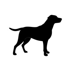 Dog Breed Silhouettes, Personalized Dog Silhouette, Dog Breed SVG,