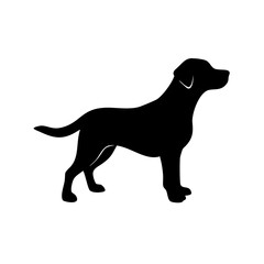 Dog Breed Silhouettes, Personalized Dog Silhouette, Dog Breed SVG,