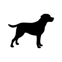 Dog Breed Silhouettes, Personalized Dog Silhouette, Dog Breed SVG,